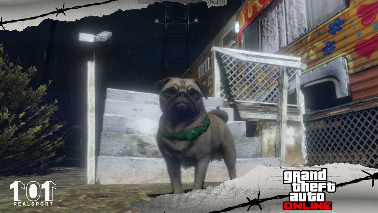 GTA Online Todas as localizações da planta peyote Halloween 2020
