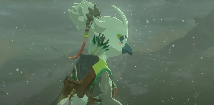 Como encontrar Tulin em Zelda